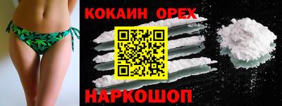 шишки Бердск