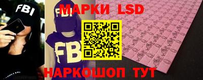 шишки Бердск