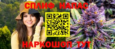шишки Бердск