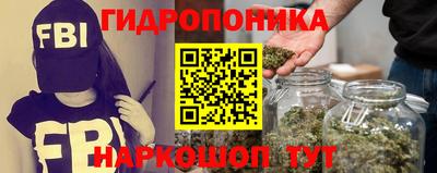 шишки Бердск