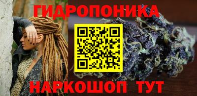 шишки Бердск
