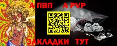 шишки Бердск